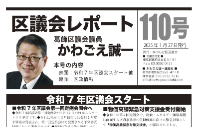 区議会レポートNo.110
